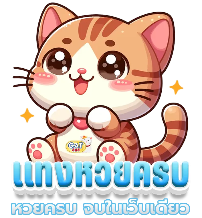 สมัคร เว็บ cat888